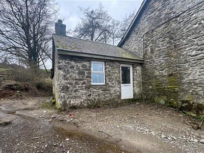 Picture 15